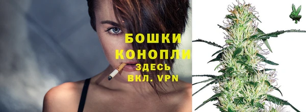 крисы Елизово