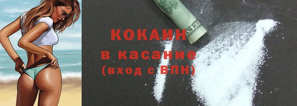гашик Дмитровск