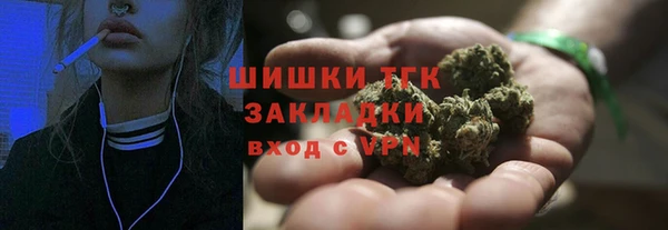 крисы Елизово