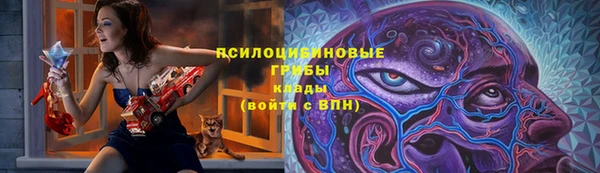 крисы Елизово